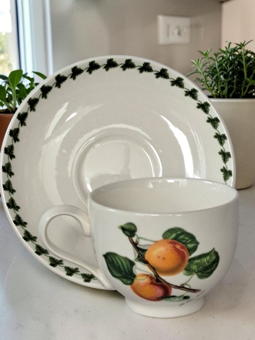 Portmeirion Pomona The Roman Apricot 2 x 3.5 Inch Tea Cup And Saucer
